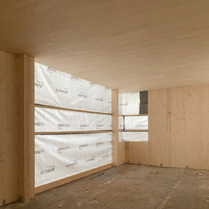 Raun-in-form-Kerstin-Bertz-Helmbrecht-Trockenbau-Fenster
